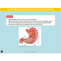 How do the systems of the body influence and respond to movement? - Powerpoint