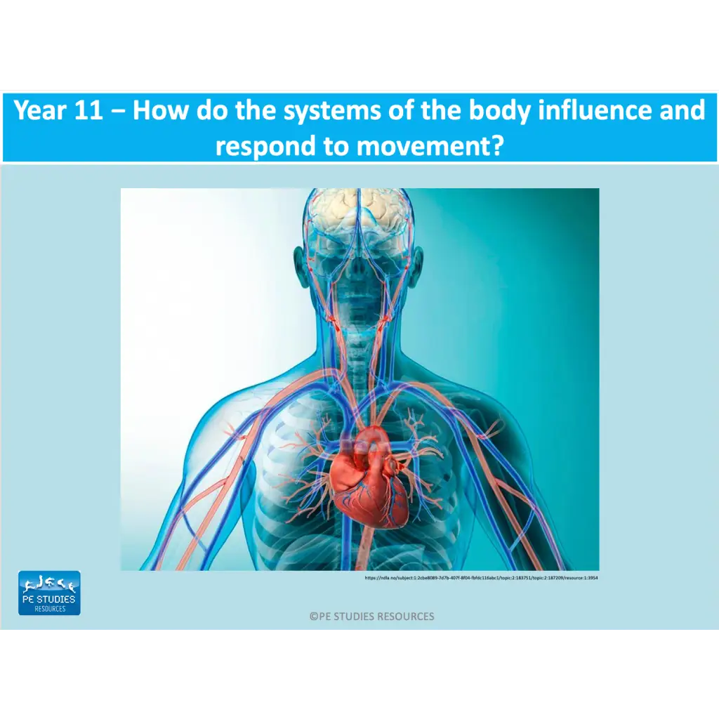 Body Systems PowerPoint | Year 11 PDHPE Teaching Resource – PE Studies ...