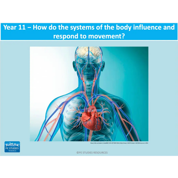 How do the systems of the body influence and respond to movement? - Powerpoint