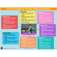 How do the systems of the body influence and respond to movement? - Powerpoint