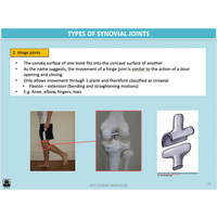 How do the systems of the body influence and respond to movement? - Powerpoint