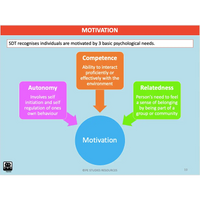 UNIT 4 SPORT SCIENCE LEVEL 3 - Sport Psychology - Powerpoint