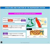 UNIT 1 AOS 2 - What role does the Cardiorespiratory System play in movement? (2nd ed) - Powerpoint