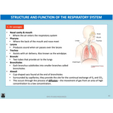 UNIT 1 AOS 2 - What role does the Cardiorespiratory System play in movement? (2nd ed) - Powerpoint