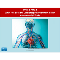 AOS 2 Cardiorespiratory System