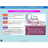 UNIT 1 AOS 2 - What role does the Cardiorespiratory System play in movement? (2nd ed) - Powerpoint