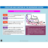 UNIT 1 AOS 2 - What role does the Cardiorespiratory System play in movement? (2nd ed) - Powerpoint