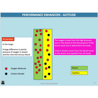 UNIT 1 AOS 2 - What role does the Cardiorespiratory System play in movement? (2nd ed) - Powerpoint