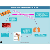 UNIT 1 AOS 2 - What role does the Cardiorespiratory System play in movement? (2nd ed) - Powerpoint