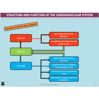 UNIT 1 AOS 2 - What role does the Cardiorespiratory System play in movement? (2nd ed) - Powerpoint