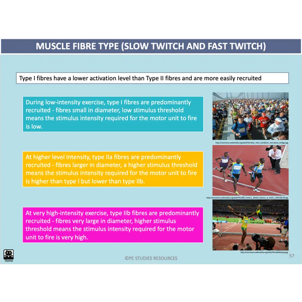 UNIT 1 AOS 1 - How does the Musculoskeletal System work to produce movement? (2nd ed) - Powerpoint