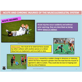 UNIT 1 AOS 1 - How does the Musculoskeletal System work to produce movement? - Powerpoint