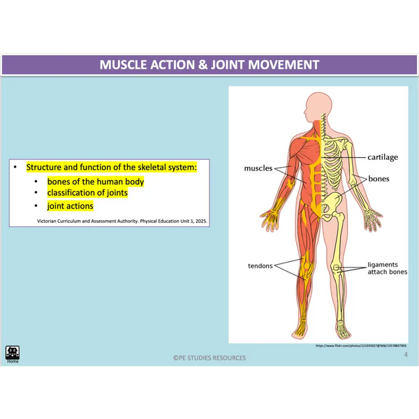 UNIT 1 AOS 1 - How does the Musculoskeletal System work to produce movement? (2nd ed) - Powerpoint