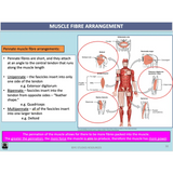 UNIT 1 AOS 1 - How does the Musculoskeletal System work to produce movement? (2nd ed) - Powerpoint