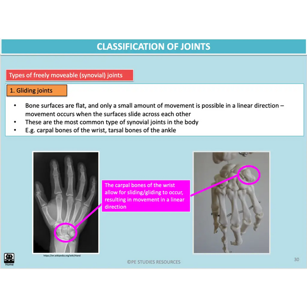 UNIT 1 AOS 1 - How does the Musculoskeletal System work to produce movement? (2nd ed) - Powerpoint