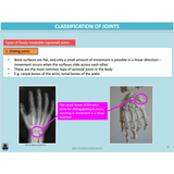 UNIT 1 AOS 1 - How does the Musculoskeletal System work to produce movement? (2nd ed) - Powerpoint