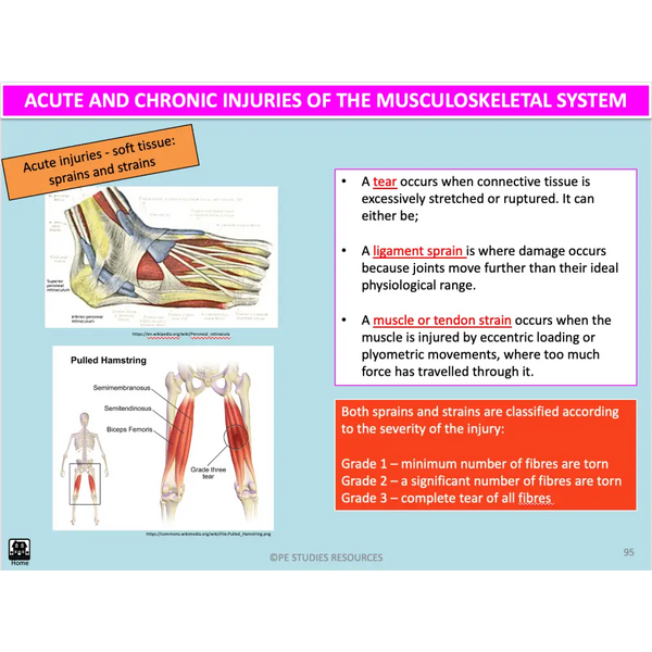 UNIT 1 AOS 1 - How does the Musculoskeletal System work to produce movement? (2nd ed) - Powerpoint