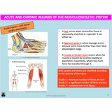 UNIT 1 AOS 1 - How does the Musculoskeletal System work to produce movement? (2nd ed) - Powerpoint