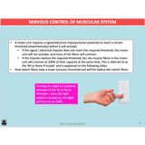 UNIT 1 AOS 1 - How does the Musculoskeletal System work to produce movement? (2nd ed) - Powerpoint