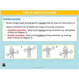 UNIT 1 SPORT SCIENCE FOUNDATION - Body Systems - Powerpoint
