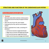 UNIT 1 SPORT SCIENCE FOUNDATION - Body Systems - Powerpoint