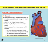 UNIT 1 SPORT SCIENCE FOUNDATION - Body Systems - Powerpoint