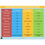 UNIT 1 SPORT SCIENCE FOUNDATION - Body Systems - Powerpoint