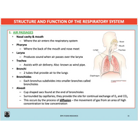 UNIT 1 SPORT SCIENCE FOUNDATION - Body Systems - Powerpoint