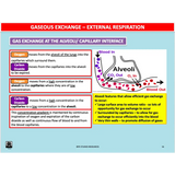 UNIT 1 SPORT SCIENCE FOUNDATION - Body Systems - Powerpoint