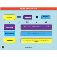 UNIT 1 SPORT SCIENCE FOUNDATION - Body Systems - Powerpoint