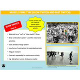 UNIT 1 SPORT SCIENCE FOUNDATION - Body Systems - Powerpoint