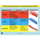 UNIT 1 SPORT SCIENCE FOUNDATION - Body Systems - Powerpoint