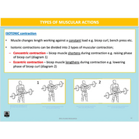 UNIT 1 SPORT SCIENCE FOUNDATION - Body Systems - Powerpoint