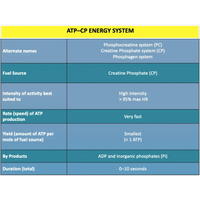 UNIT 1 SPORT SCIENCE FOUNDATION - Body Systems - Powerpoint