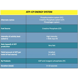 UNIT 1 SPORT SCIENCE FOUNDATION - Body Systems - Powerpoint