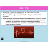 UNIT 1 SPORT SCIENCE LEVEL 3 - Exercise Physiology A - Powerpoint