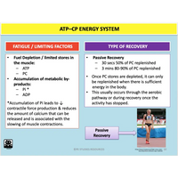 UNIT 1 SPORT SCIENCE LEVEL 3 - Exercise Physiology A - Powerpoint
