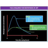 UNIT 1 SPORT SCIENCE LEVEL 3 - Exercise Physiology A - Powerpoint