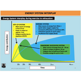 UNIT 1 SPORT SCIENCE LEVEL 3 - Exercise Physiology A - Powerpoint