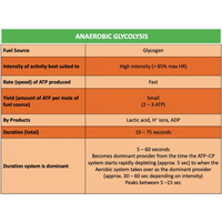 UNIT 1 SPORT SCIENCE LEVEL 3 - Exercise Physiology A - Powerpoint