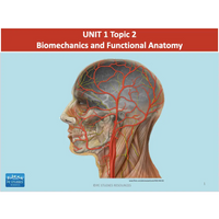 UNIT 1 Topic 2 - Biomechanics & Functional Anatomy - Powerpoint