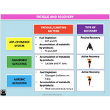 UNIT 2 SPORT SCIENCE LEVEL 3 - Exercise Physiology B - Powerpoint