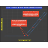 UNIT 2 SPORT SCIENCE LEVEL 3 - Exercise Physiology B - Powerpoint