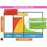 UNIT 2 SPORT SCIENCE LEVEL 3 - Exercise Physiology B - Powerpoint