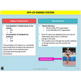 UNIT 3 AOS 2 - How does the body produce energy? (2nd ed) - Powerpoint