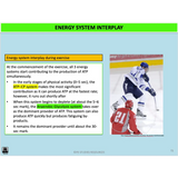 UNIT 3 AOS 2 - How does the body produce energy? (2nd ed) - Powerpoint