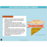 UNIT 3 AOS 2 - How does the body produce energy? (2nd ed) - Powerpoint