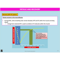 UNIT 3 AOS 2 - How does the body produce energy? (2nd ed) - Powerpoint