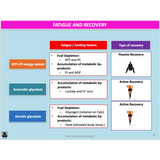 UNIT 3 AOS 2 - How does the body produce energy? (2nd ed) - Powerpoint