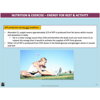 UNIT 3 AOS 2 - How does the body produce energy? (2nd ed) - Powerpoint